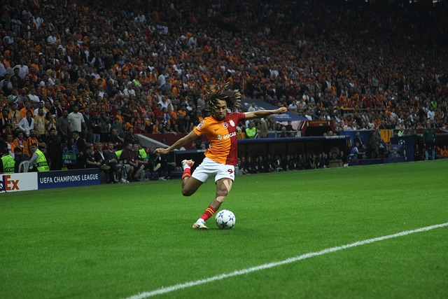 官方：诺里斯确认明年将使用1号作为自己的车号