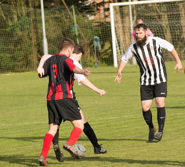 但球队过分 但球队过分