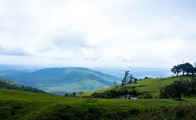 不服输的精 不服输的精
