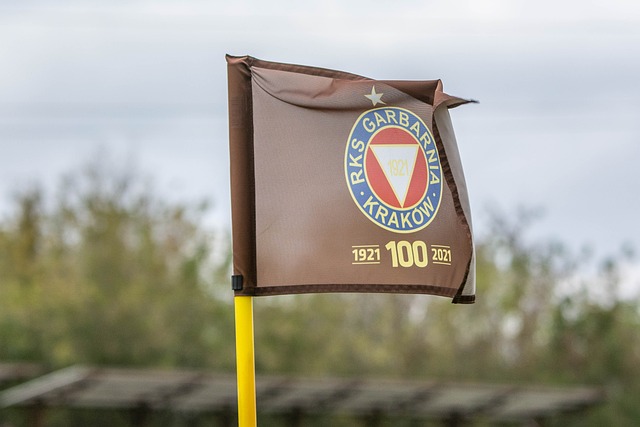 这场比赛为 这场比赛为