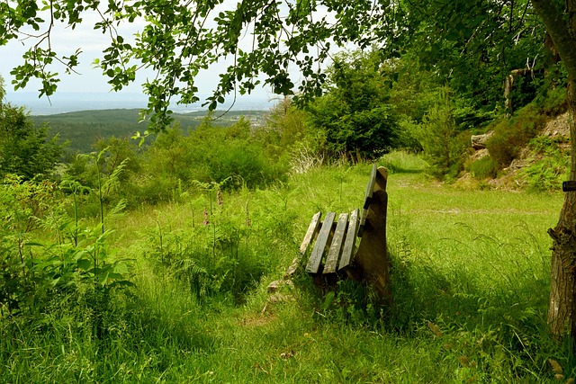 哈兰德的足 哈兰德的足