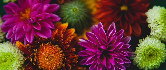 理且值得期 理且值得期