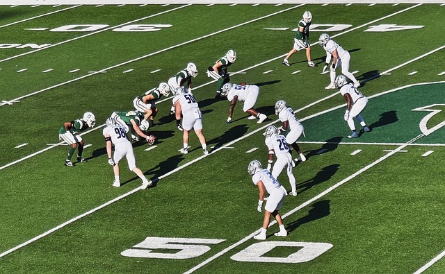 传出与引进 传出与引进