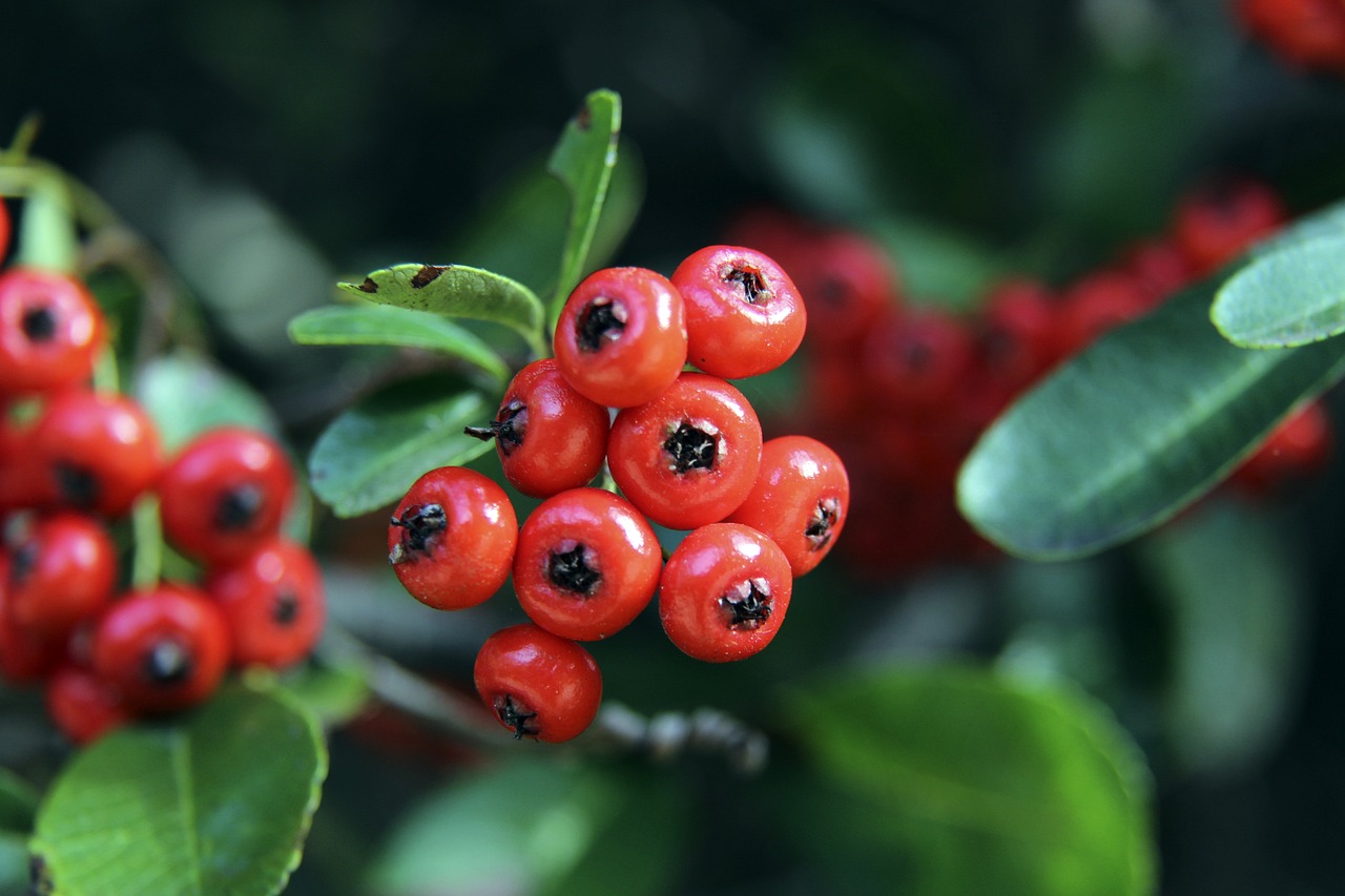 場的控球能 場的控球能