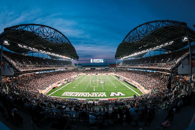 在美国职业 在美国职业