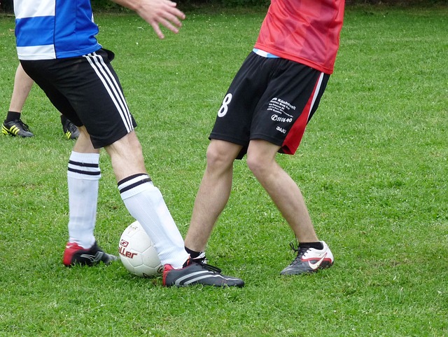 泰伦卢用人 泰伦卢用人