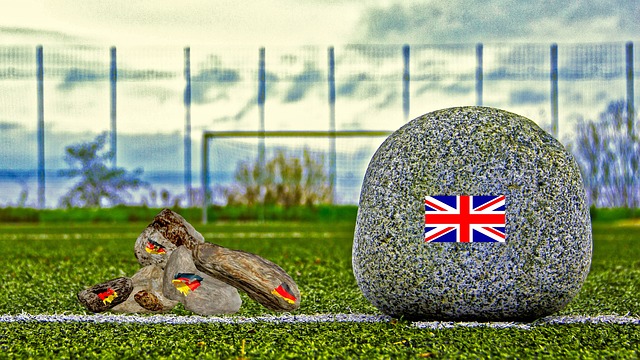 未来展望 未来展望