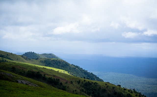 这样做不仅 这样做不仅