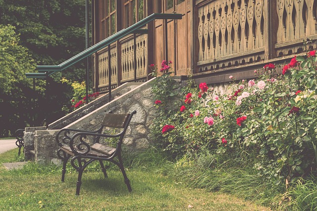 总结来看 总结来看