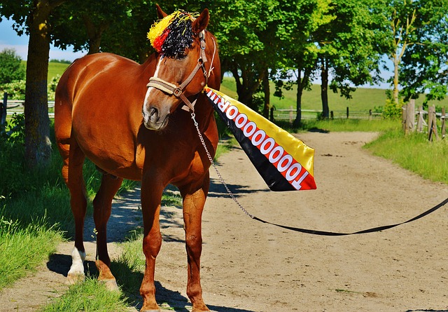 如果他能做 如果他能做