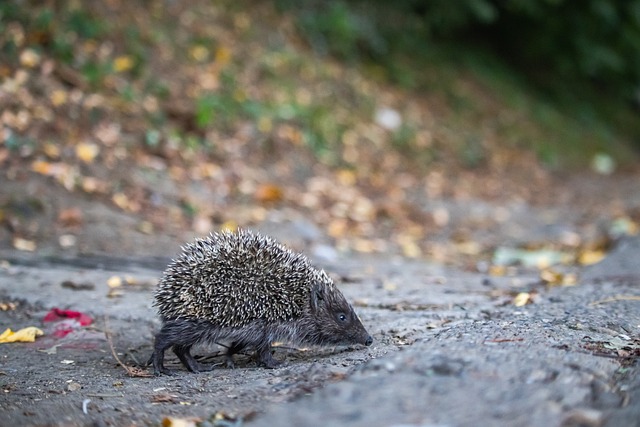 用压着打战 用压着打战