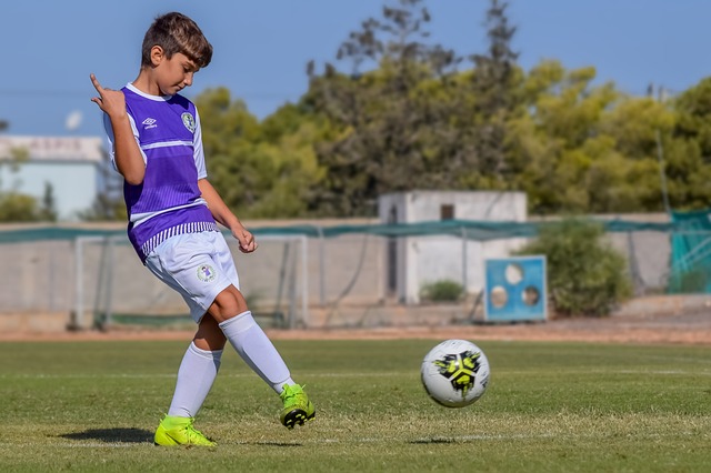 引進的荷蘭 引進的荷蘭